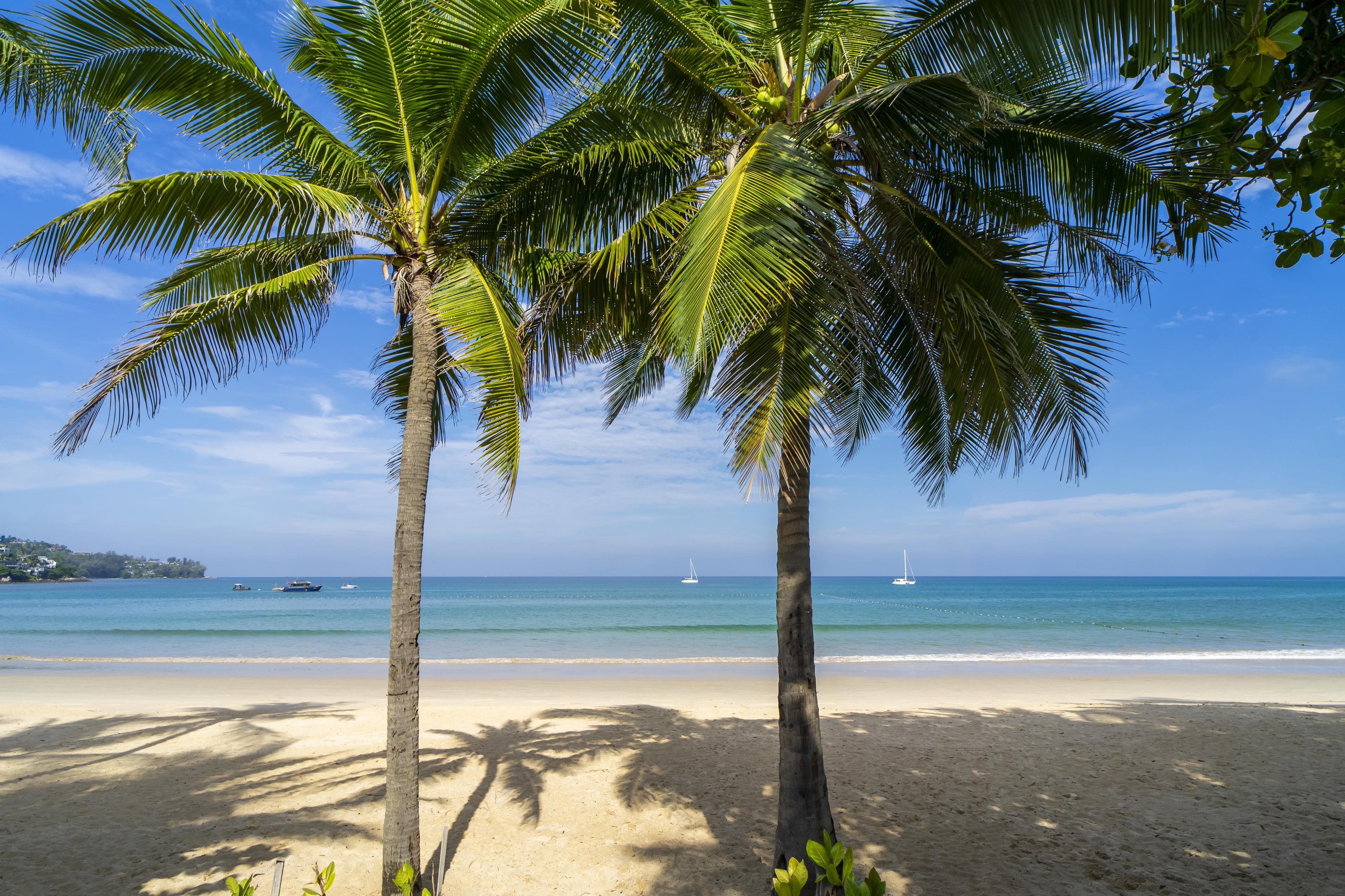 Sunprime Kamala Beach (Adults Only) Extérieur photo